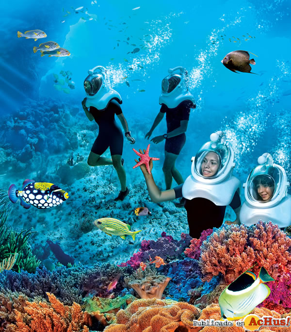 /public/fotos2/The-Grand-Reef2-10032011.jpg