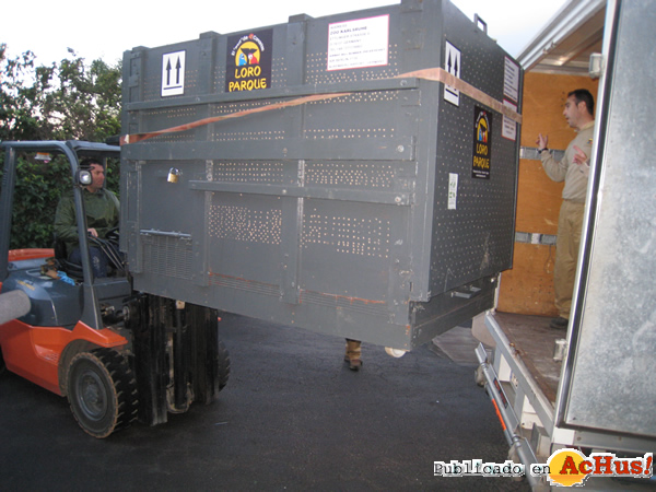 /public/fotos2/Transporte-leona-Rafael-Zamora-Padron.jpg