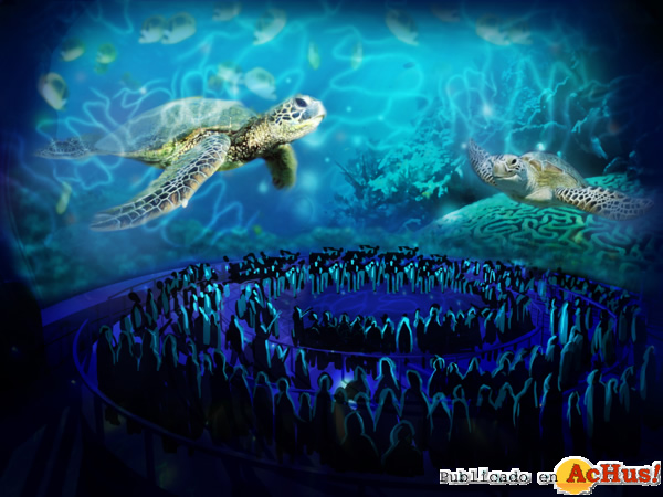 /public/fotos2/TurtleTrek1-08112011.jpg