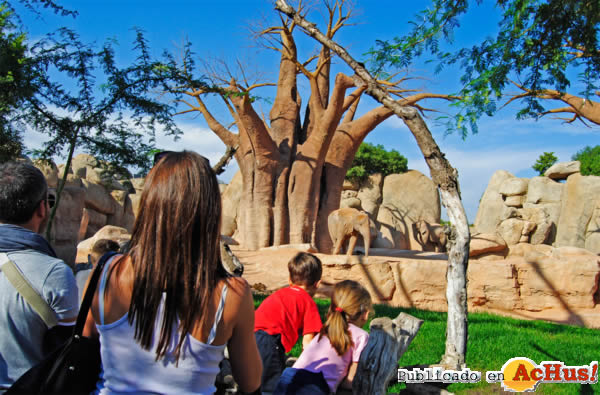 /public/fotos2/Visitantes-observando-elefantes-13012012.jpg