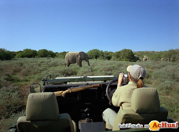 /public/fotos2/Wild-Safari-3D-22122010.jpg