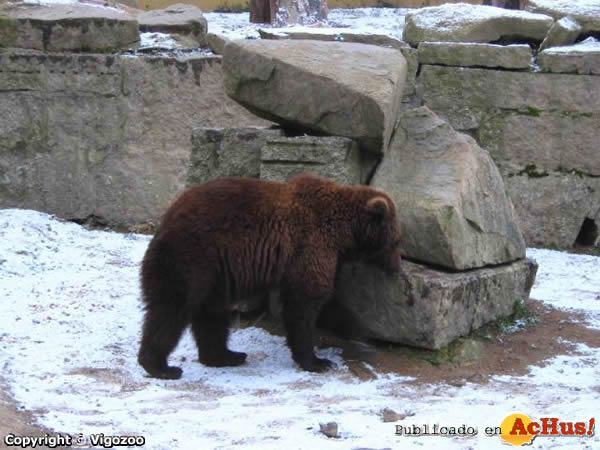 /public/fotos2/Zoo-Vigo-14012009.jpg