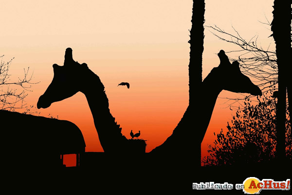 /public/fotos2/Zoo-al-atardecer-07072015.jpg