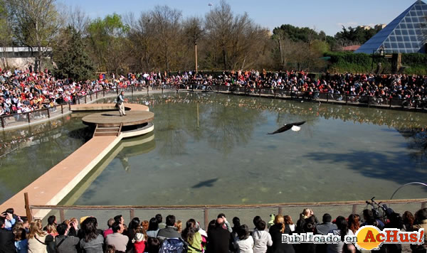 /public/fotos2/Zoo-bate-su-record-de-visitas-05042010.jpg
