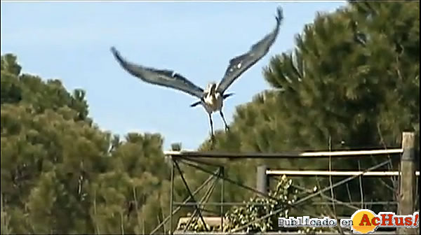 /public/fotos2/ZooMadrid-25032010.jpg