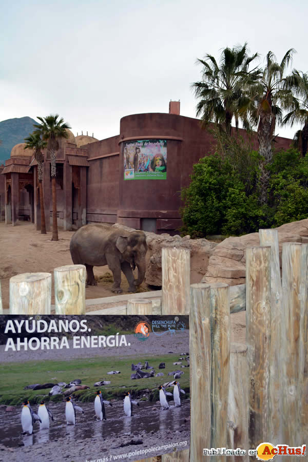 /public/fotos2/accion-pole-to-pole-25042015.jpg