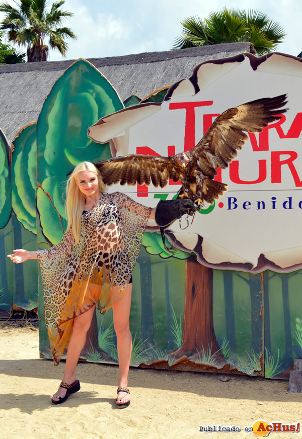/public/fotos2/alex-con-aguila-01062015.jpg