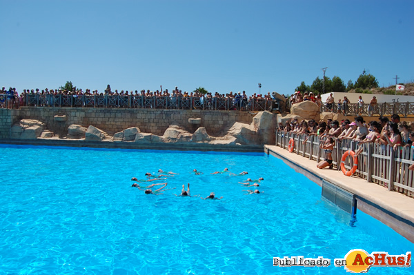 /public/fotos2/aqua4-29062014.jpg