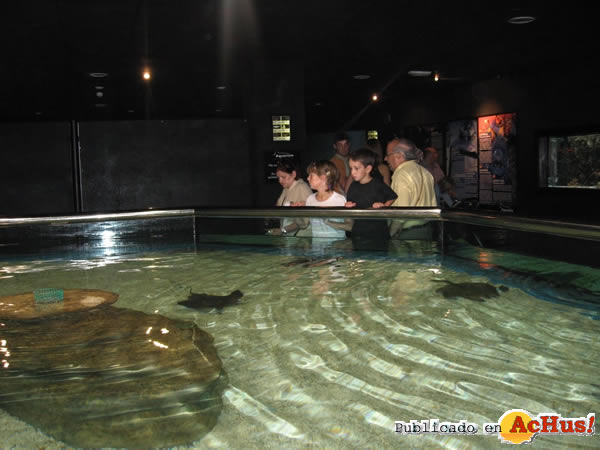 /public/fotos2/aquarium-200902010.jpg