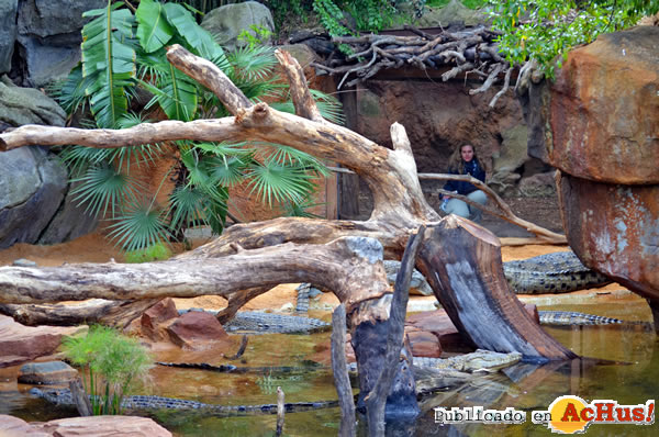 /public/fotos2/bioparc-fuegirola-2-27032015.jpg