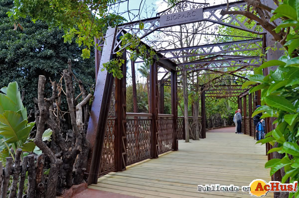 /public/fotos2/bioparc-fuegirola-3-27032015.jpg