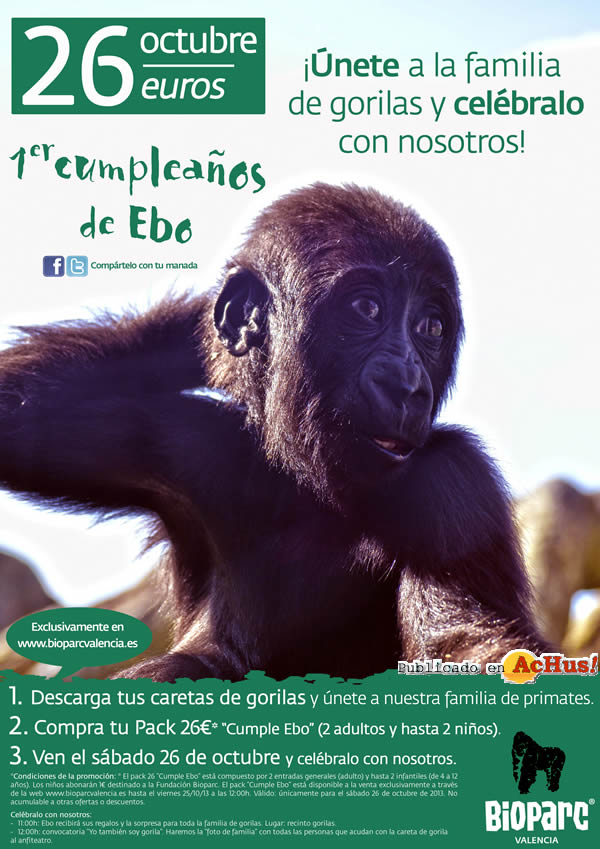 /public/fotos2/cumple-bebe-gorila-Ebo-22102013.jpg