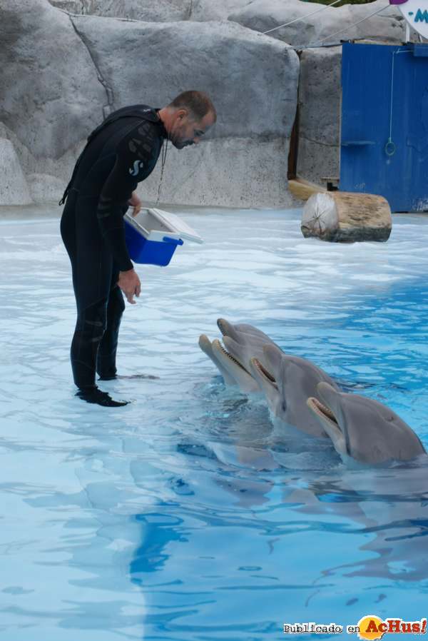 /public/fotos2/delfines-29112012.jpg