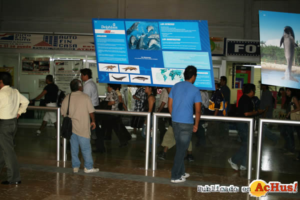 /public/fotos2/delphinus-metrorrey-expo-012010.jpg