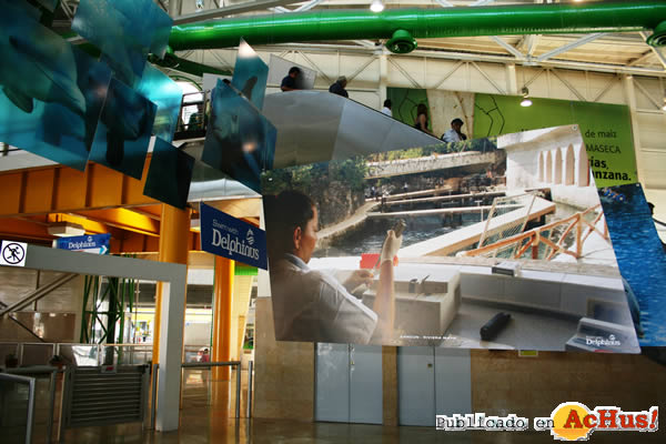 /public/fotos2/delphinus-metrorrey-expo-032010.jpg