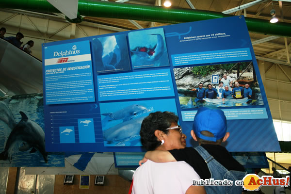 /public/fotos2/delphinus-metrorrey-expo-042010.jpg