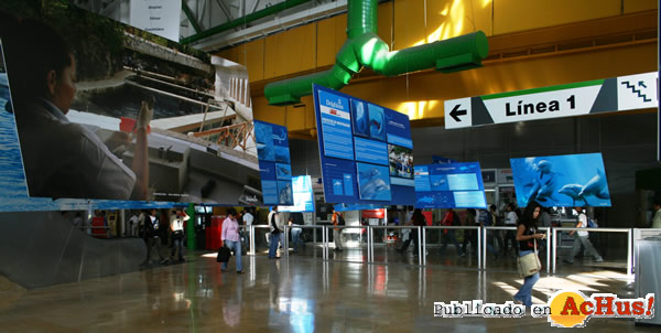 /public/fotos2/delphinus-metrorrey-expo-052010.jpg