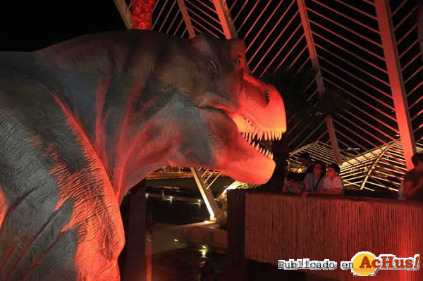 /public/fotos2/dinosaurios-21072010.jpg