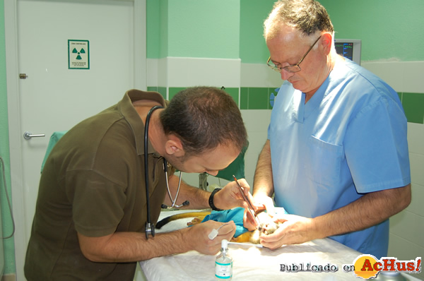 /public/fotos2/endodoncia-saimir2.jpg