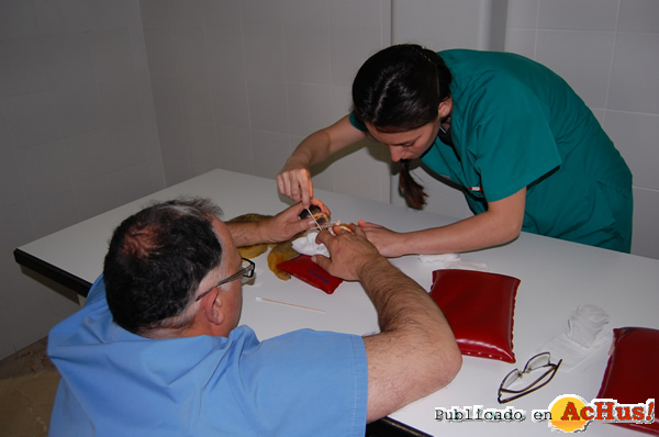 /public/fotos2/endodoncia-saimiri.jpg