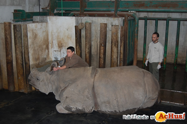 /public/fotos2/extraccion-sangre-0124032010.jpg