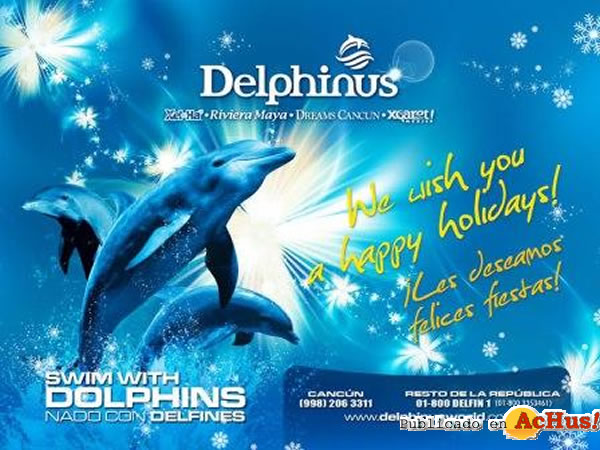 /public/fotos2/felicitacion-delphinus-2009.jpg
