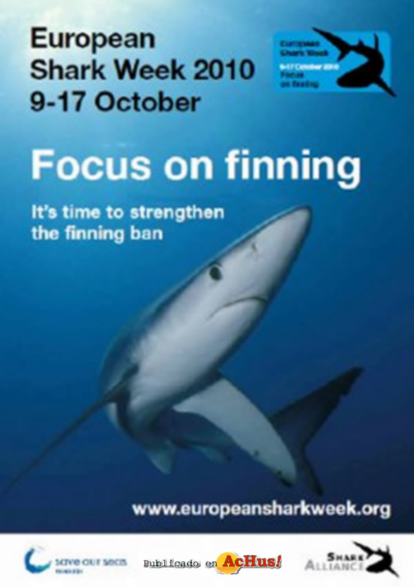 /public/fotos2/finning-08102010.jpg