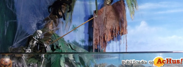 /public/fotos2/l-aquarium-31102012.jpg