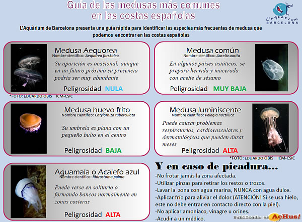 /public/fotos2/medusas-08082012.jpg