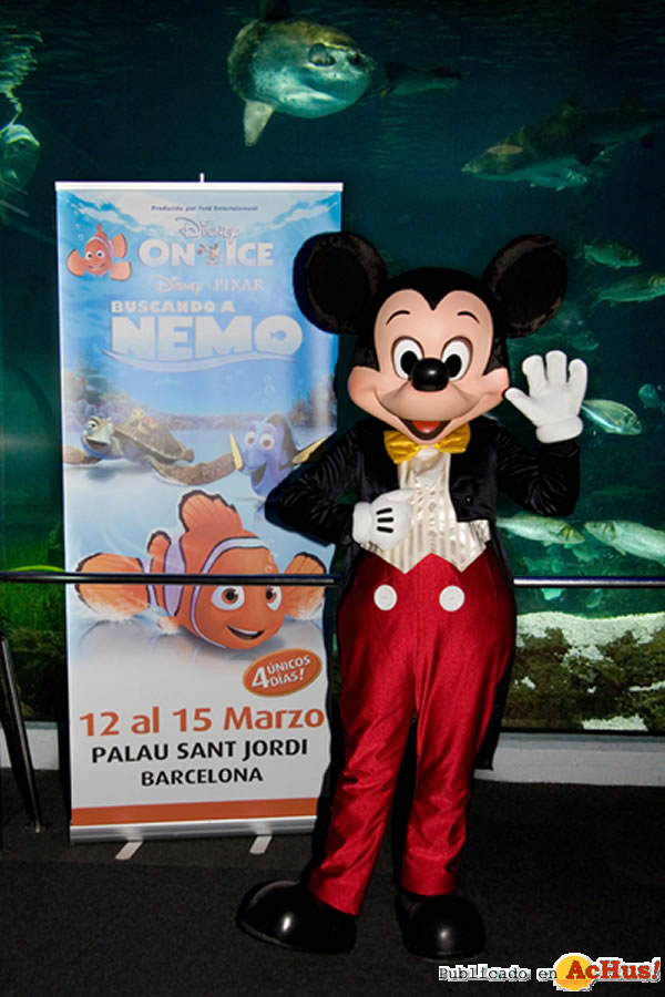 /public/fotos2/mickeymouse-04032009.jpg