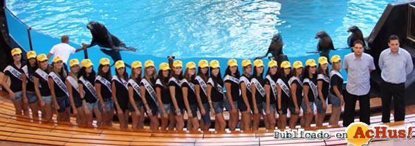 /public/fotos2/missnortees-11102008.jpg