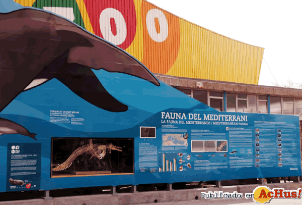 /public/fotos2/mural-zoo-01042013.gif