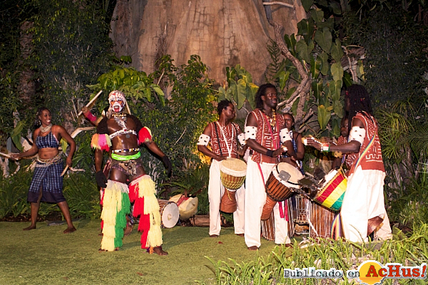 /public/fotos2/musica-danzas-africanas-25112011.jpg