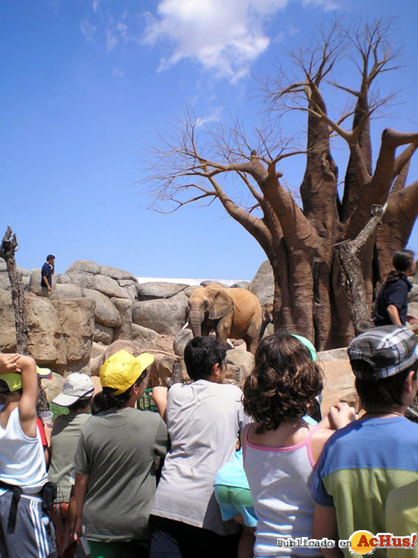 /public/fotos2/ninos-con-elefante-16112008.jpg