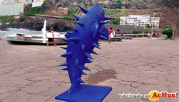 /public/fotos2/orca-16102008.jpg
