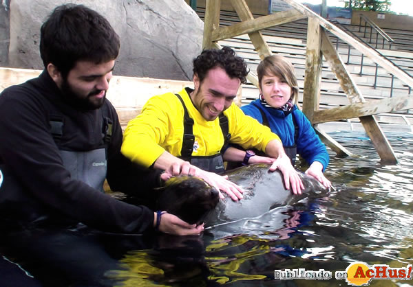 /public/fotos2/osos-marinos-17102014.jpg