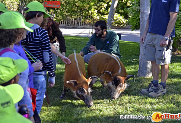 /public/fotos2/potamoqueros-rojos-26042014.jpg