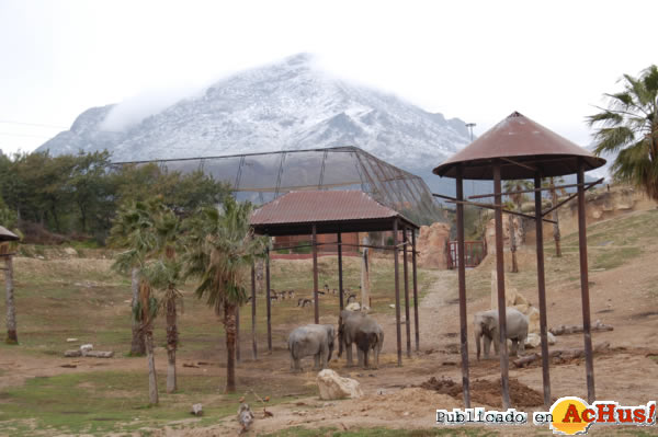 /public/fotos2/puig-campana-nevado-02022012.jpg