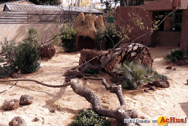 /public/fotos2/recinto-mangostas-01042013.gif
