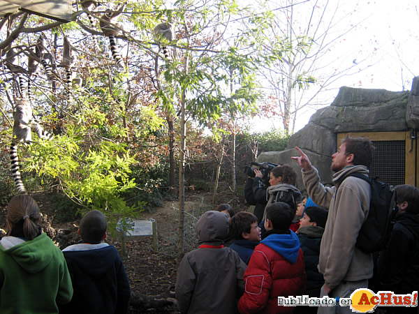 /public/fotos2/rutatem-iticalemures-16042012.jpg