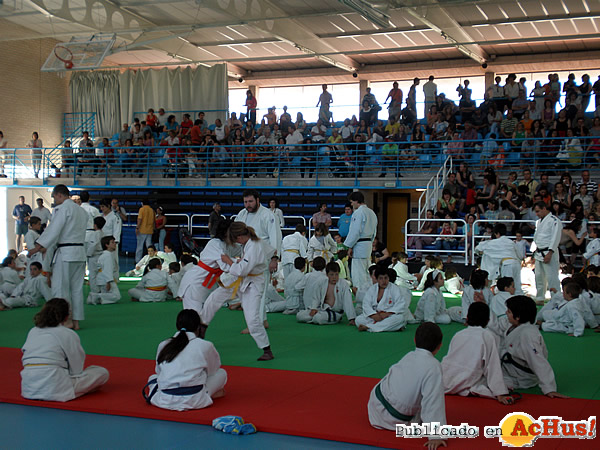 /public/fotos2/temporada-de-judo-02062009.jpg