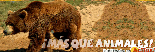 /public/fotos2/terra-natura-murcia-08022009.gif