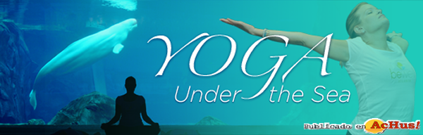 /public/fotos2/yoga-03022009.png
