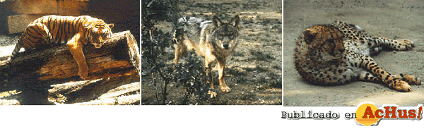 /public/fotos2/zoo-bcn-09102008.gif