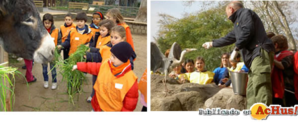 /public/fotos2/zoo-bcn-12122010.jpg