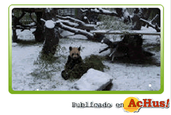 /public/fotos2/zoo-madrid-09012009.gif