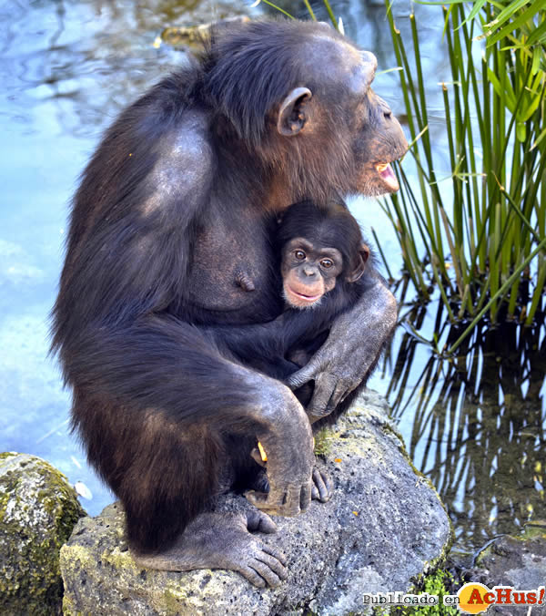 /public/fotos3/BIOPARC-22102018.jpg