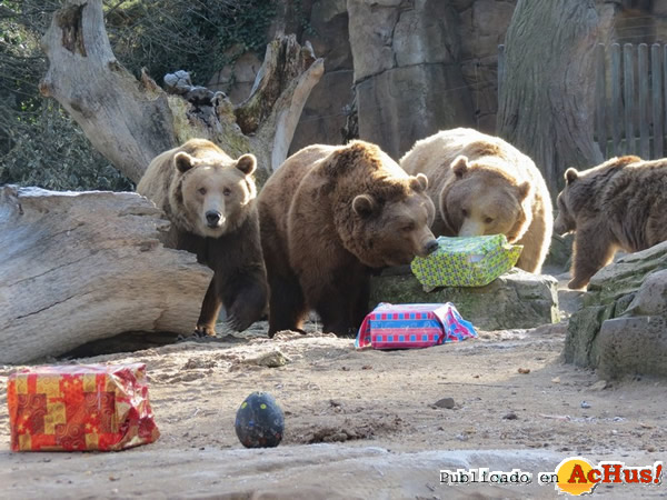 /public/fotos3/CAMPAMENTOS-NAVIDAD-ZOO-2015.jpg