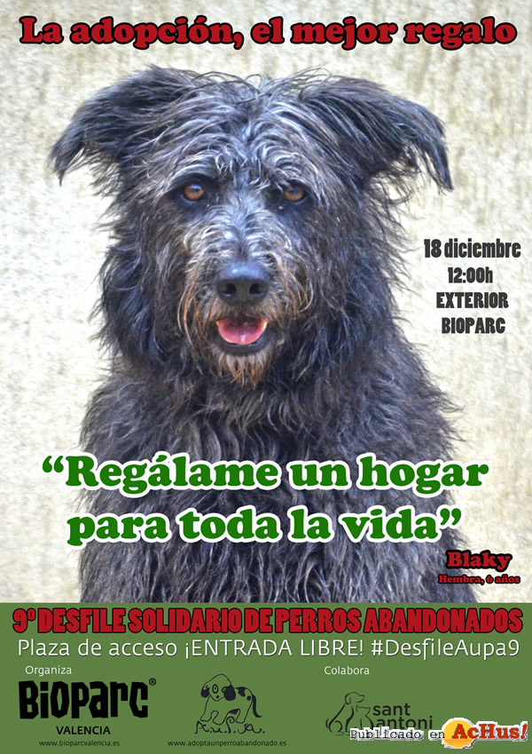 /public/fotos3/CARTEL-9-DESFILE-AUPA-BIOPARC.jpg