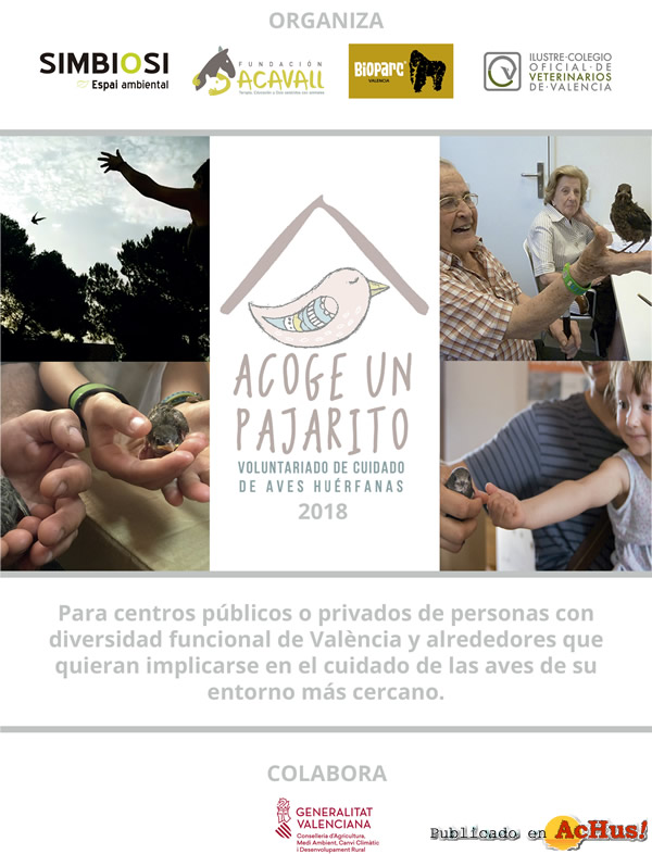 /public/fotos3/Cartel-Acoge-Un-Pajarito-04072018.jpg